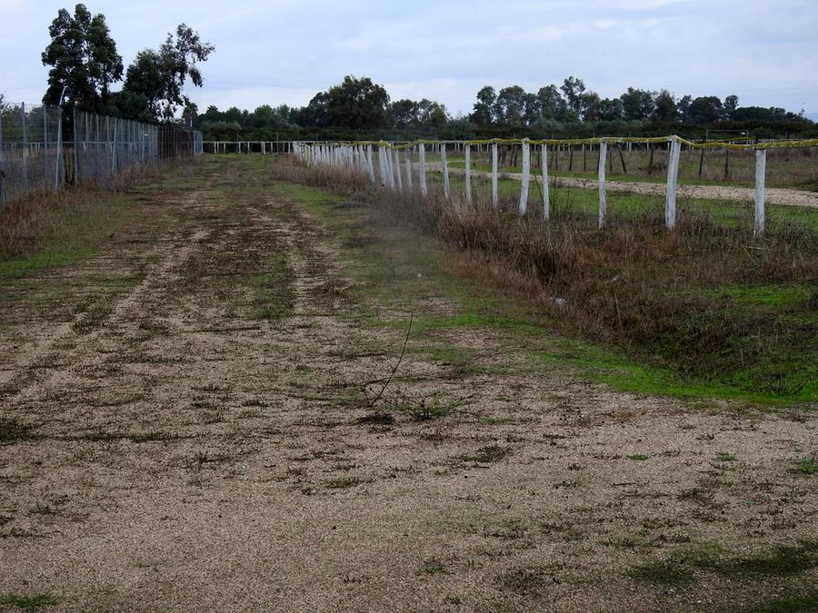 
	La pista Cort'e Baccas

