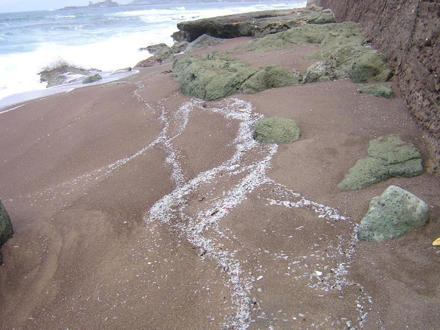 
	La spiaggia di Turas


