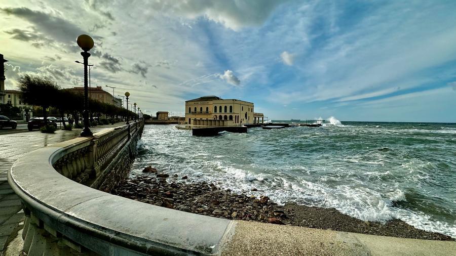 Livorno, buongiorno al salmastro da Andrea Giovannelli