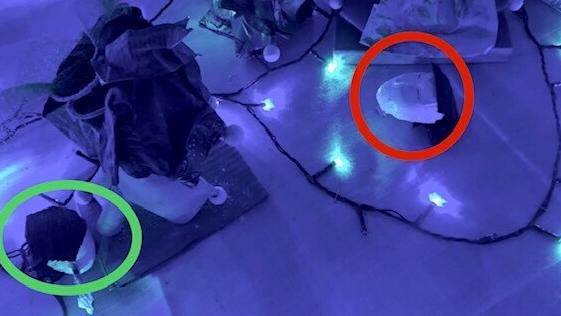 Nei cerchi alcune delle teste spezzate e lasciate sul pavimento del presepio