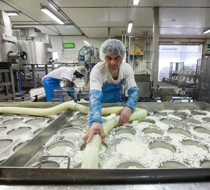 Grosseto, l’ingrediente segreto del pecorino toscano è la tecnologia dell’azienda Fluxinos
