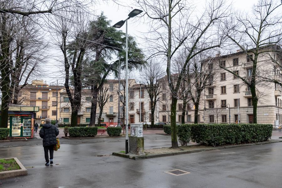 Firenze, secchi o danneggiati: 80 alberi da abbattere