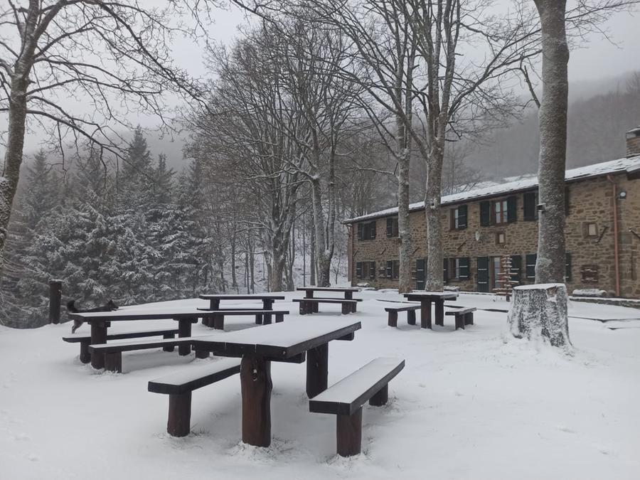 
	La neve al rifugio Burigone, in Garfagnana

