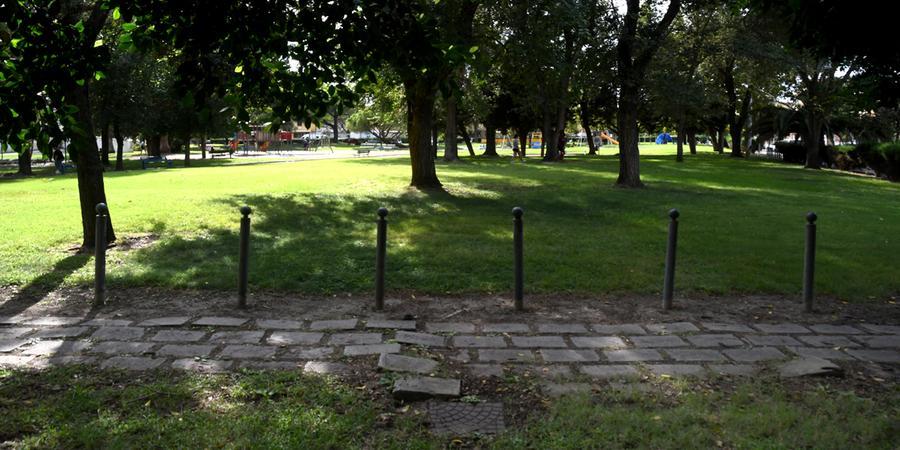 
	Il verde pubblico tra i compiti alla soceit&agrave; in house del Comune

