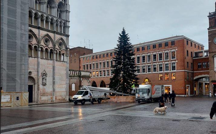 Ferrara, al lavoro per rimuovere albero e luminarie