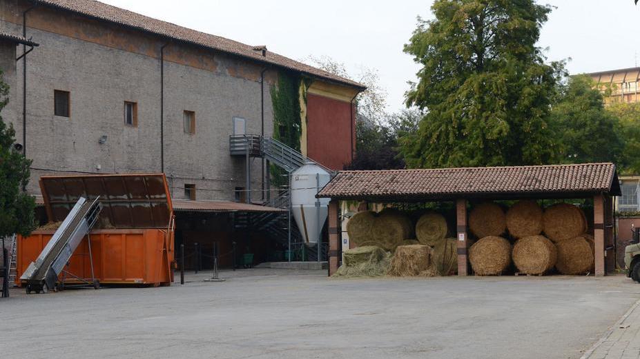 Nel futuro spazio a palestra e auditorium