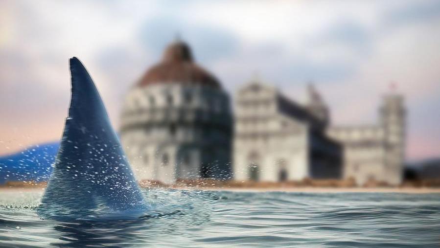 C’è uno squalo in piazza dei Miracoli, il Pisa annuncia Bonfanti giocando con il suo soprannome
