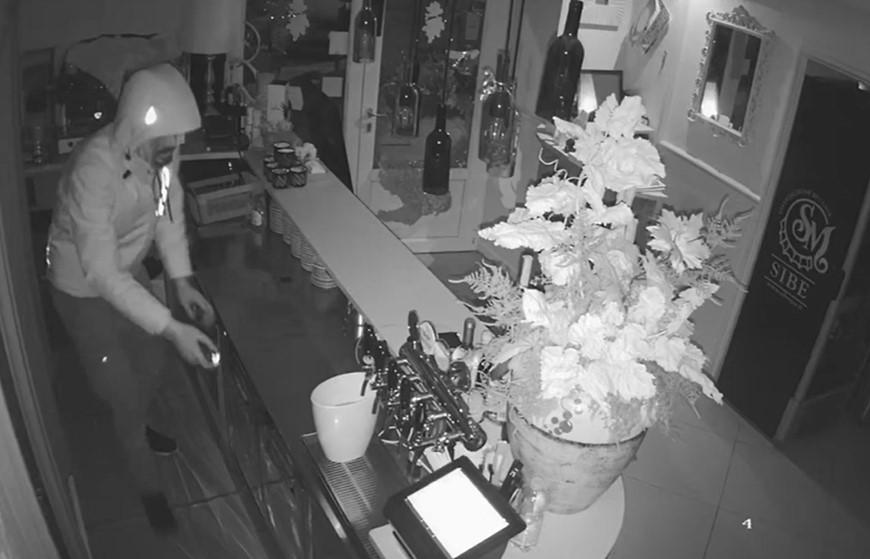 
	Il ladro ripreso dalla telecamera di sorveglianza

