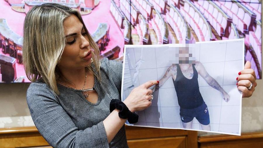 Armida Decina legale di Stefano Dal Corso