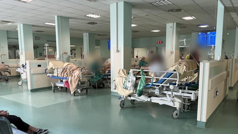 Ferrara. Aggredito da un paziente, operatore sanitario ferito da una ginocchiata