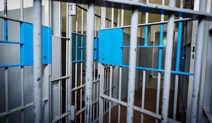 Ferrara, neo mamma segue anche i fratellini: «Serve papà: deve uscire di galera»