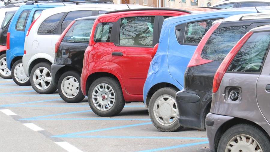 Livorno, servono ausiliari del traffico: ecco il bando per 11 posti a tempo indeterminato