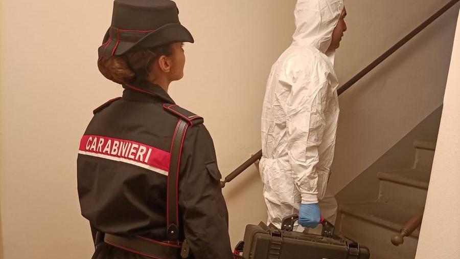 Lucca, medico accusato di tentato omicidio torna in carcere