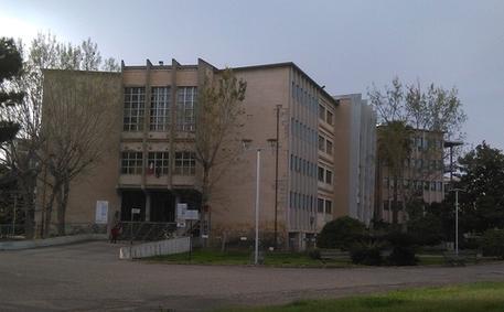 
	Il tribunale di Oristano

