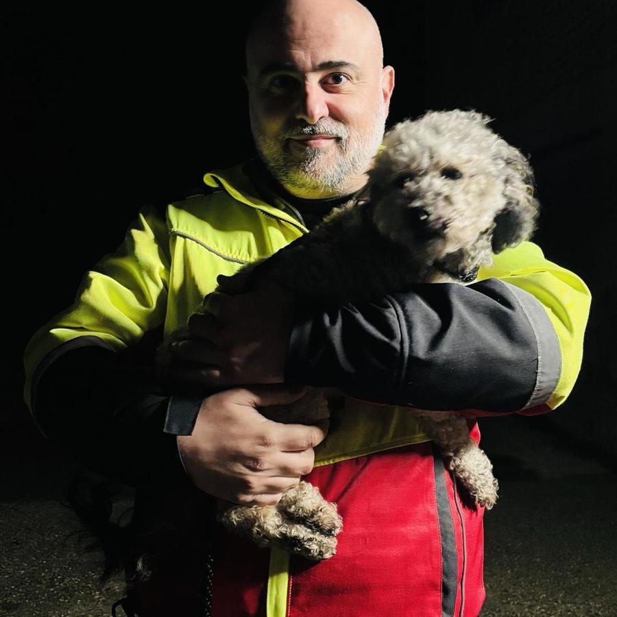 Marco Benini, professione pet detective «Quando abbiamo visto Jackie ho pianto»