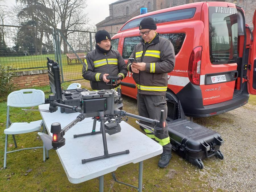 Pomposa, un albero nasce sul campanile: vigili del fuoco in azione