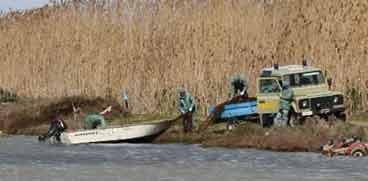 
	L'intervento del Corpo forestale nell'Area Marina Protetta del Sinis

