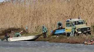 L'intervento del Corpo forestale nell'Area Marina Protetta del Sinis