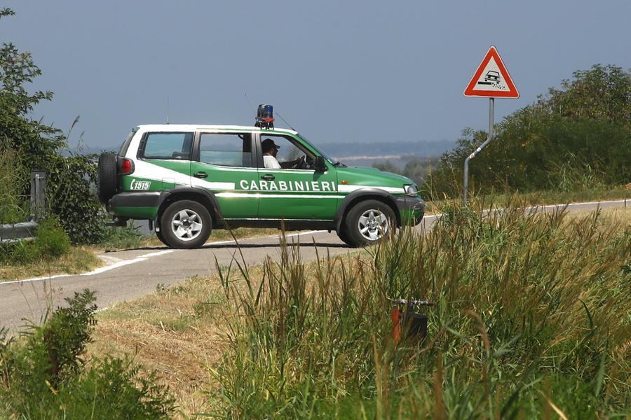 Daino ucciso a Lido Volano, fermato bracconiere