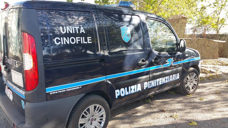 Mamone, operazione antidroga nella Colonia penale: sequestrate 70 dosi di marijuana