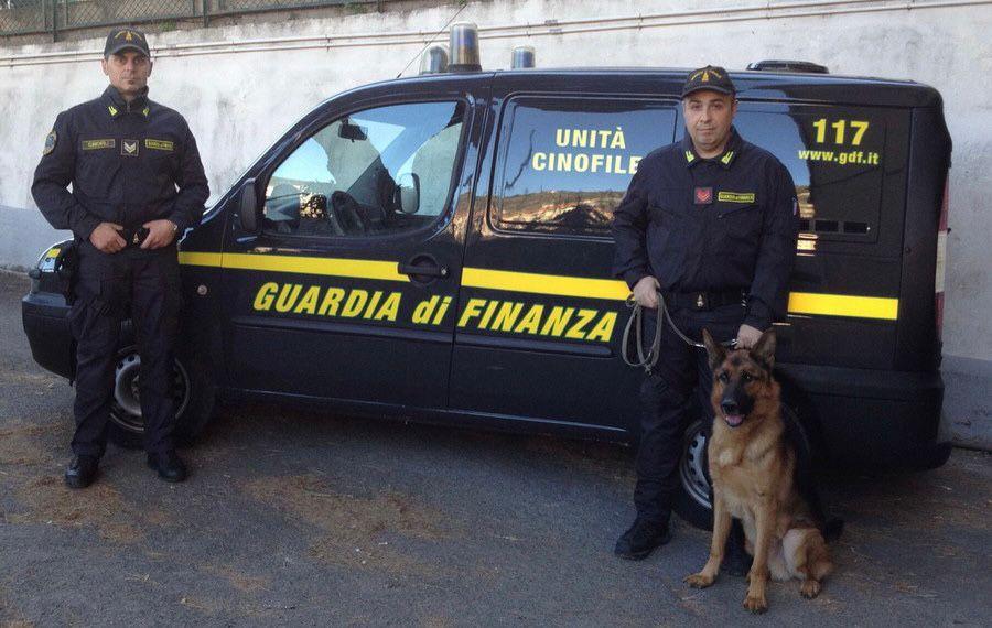 Due finanzieri con i cani antidroga (foto d'archivio)