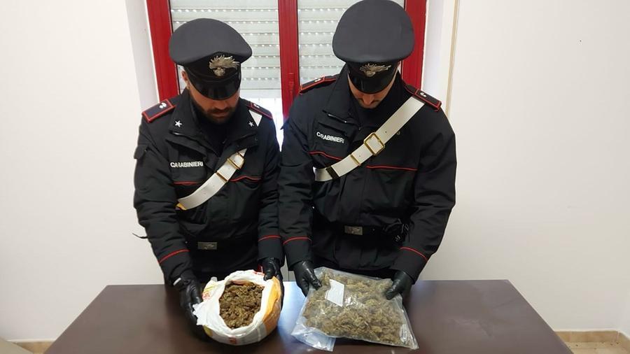 
	La droga sequestrata

