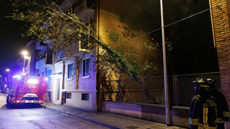 Il vento spazza Ferrara, alberi e rami abbattuti. E scatta il “Piano neve”