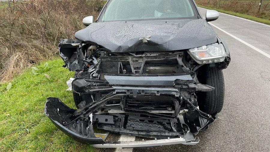 Goro, auto distrutta dall’impatto con un daino: tragedia sfiorata