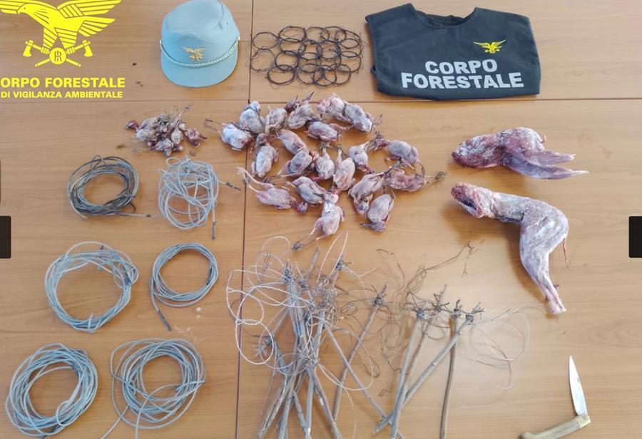 Scoperti due bracconieri a Pula e a Villasalto