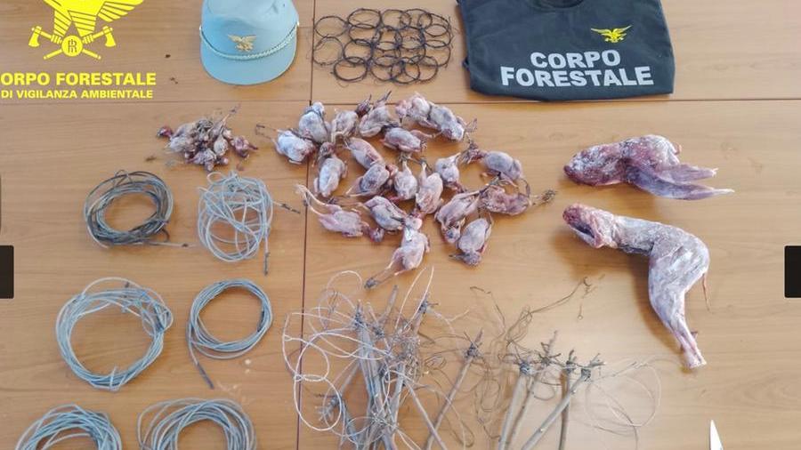 Scoperti due bracconieri a Pula e a Villasalto