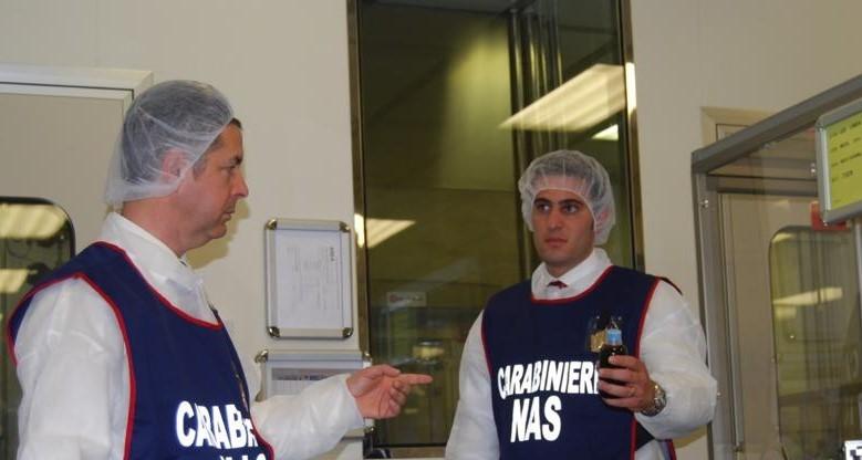 Piante abbattute senza permesso: scatta la sanzione