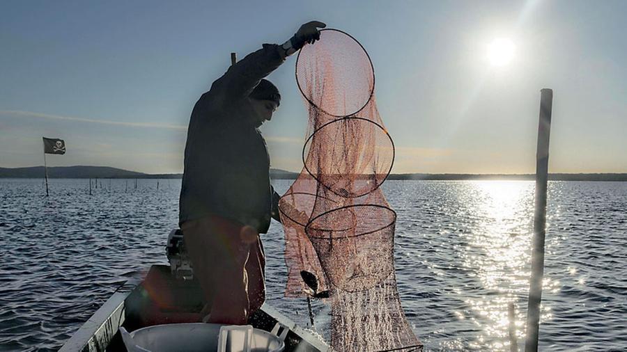 Dai canoni al concordato, i Pescatori di Orbetello scoprono le carte
