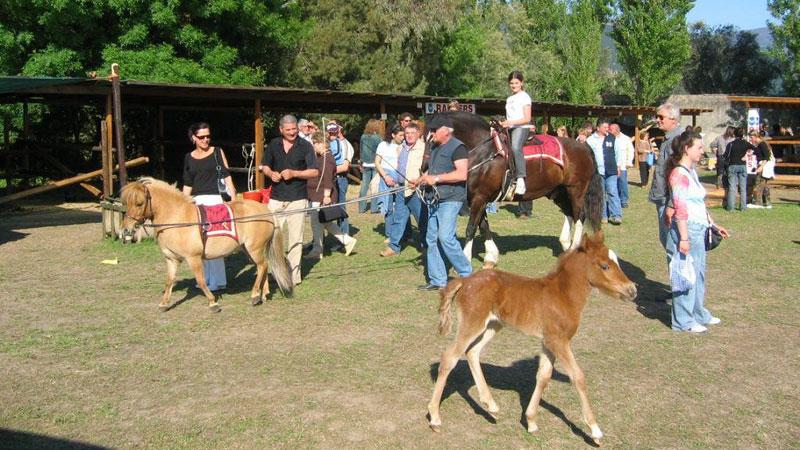 
	Un&rsquo;edizione del&rsquo;Agrifiera (immagine d&rsquo;archivio)

