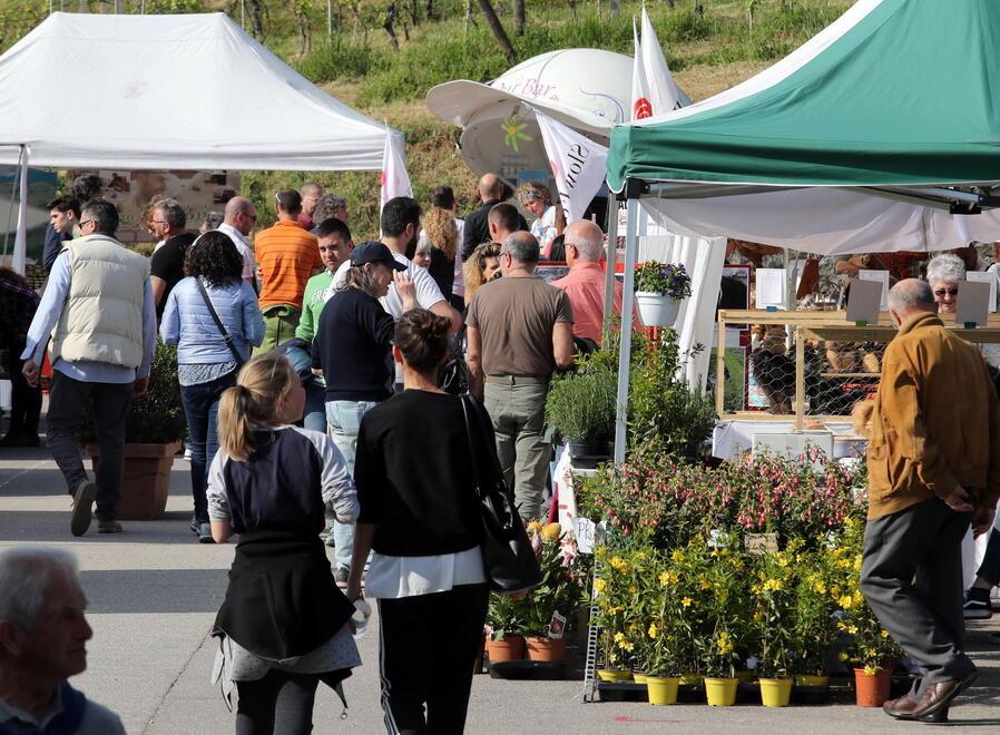Pescia, torna Naturalitas dopo lo stop del Covid