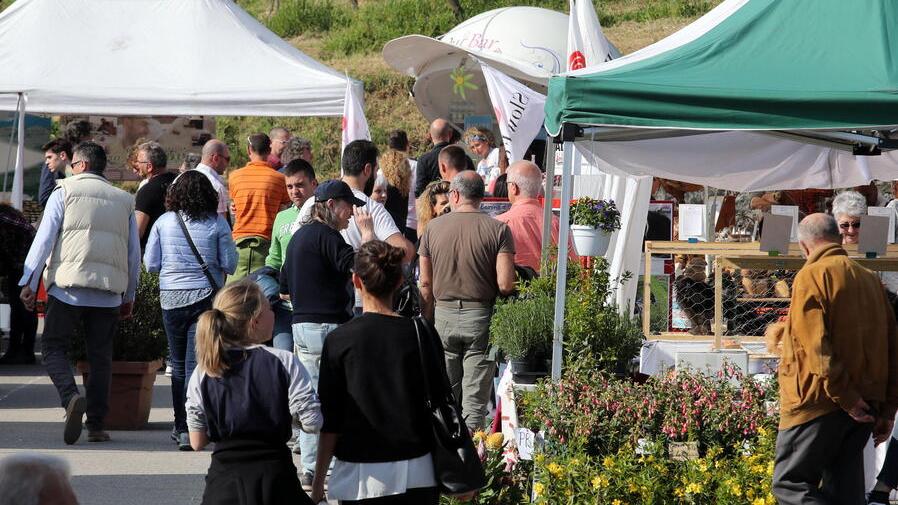 Pescia, torna Naturalitas dopo lo stop del Covid