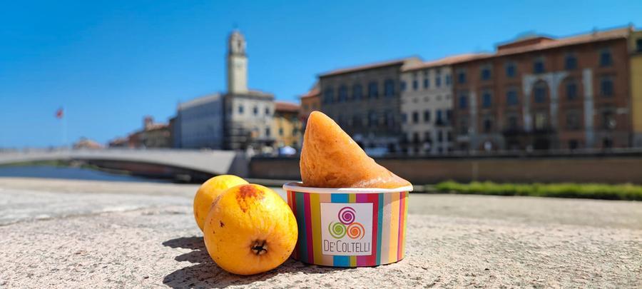 
	Una coppetta a Pisa alla gelateria De'&nbsp;Coltelli, tra le cinque premiate in Toscana

