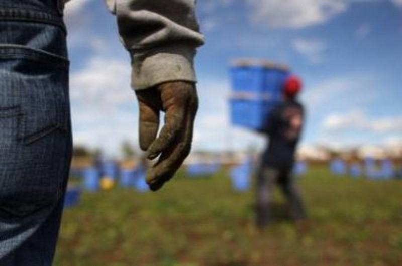 Lavoro irregolare in Toscana: multe per 2,8 milioni. Ecco i settori più colpiti