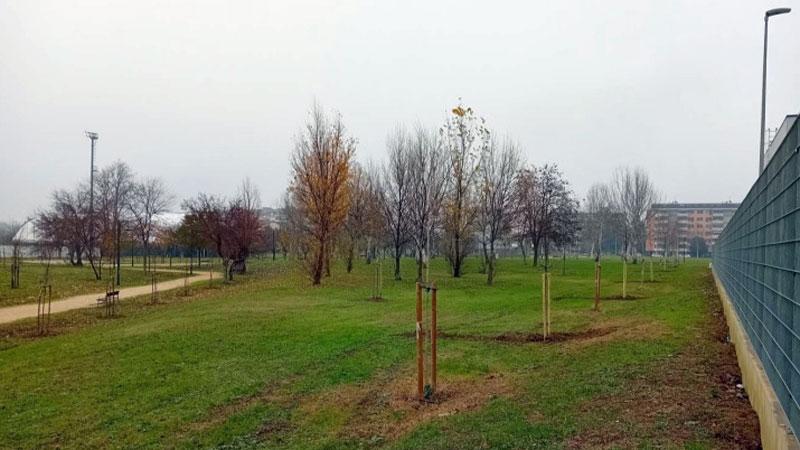 Area cani, fitness, beach volley: così rinasce il parco all’Isolotto a Firenze