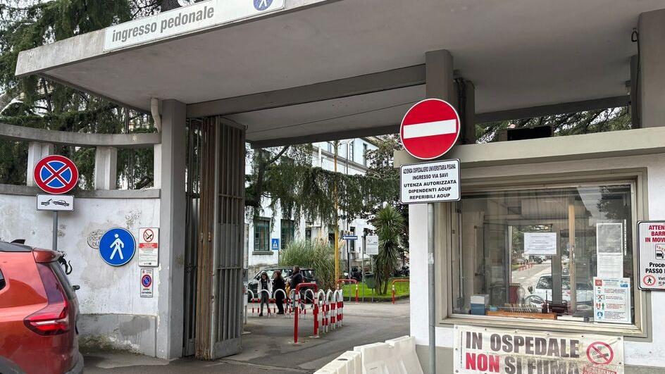 Pisa, violenza sessuale e atti osceni su quattro studentesse: identificato il molestatore seriale<br>