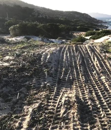 
	La Maddalena: le dune di&nbsp;Baia Trinita&nbsp;con i segni del passaggio di un mezzo meccanico&nbsp;

