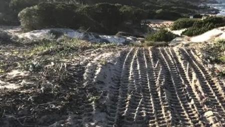 La Maddalena: le dune di Baia Trinita con i segni del passaggio di un mezzo meccanico 