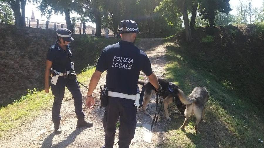 Ferrara, arriva anche il taser per gli agenti della Polizia Locale