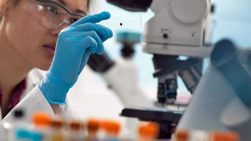Dottorato e stipendi da fame: metà dei ricercatori spende tutto per l’affitto