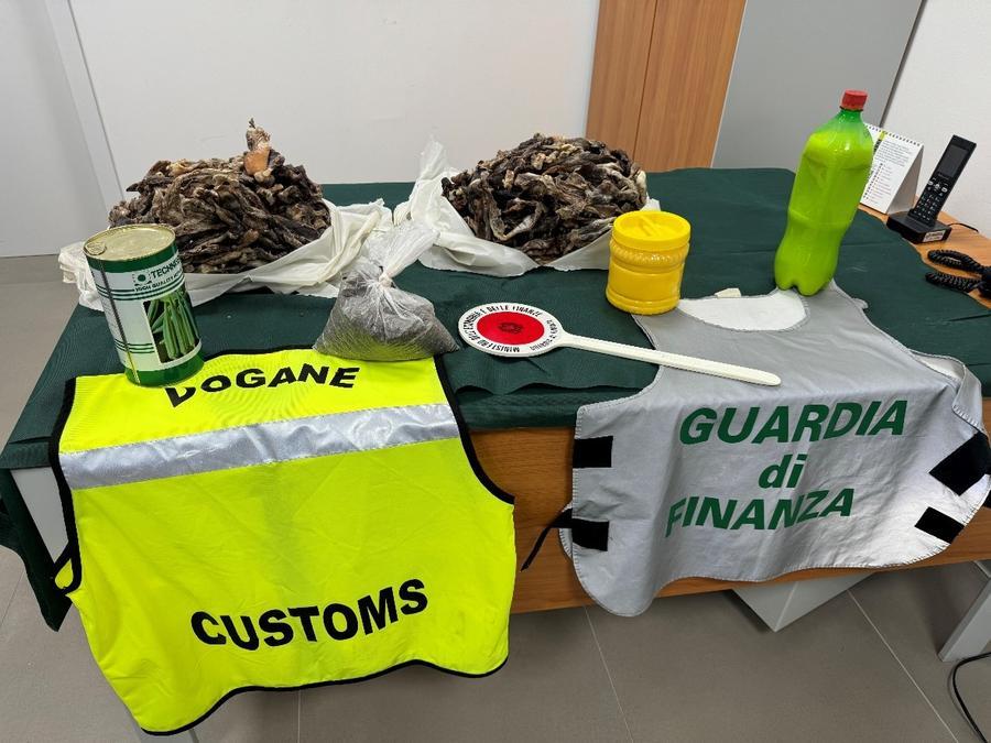 Alghero, sequestrati in aeroporto carne, semi e latticini non identificati