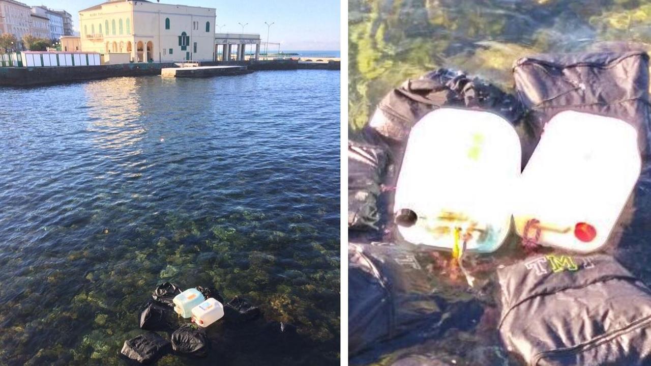 Arrestato ai Caraibi il latitante della 'ndrangheta che riempiva di coca la Toscana