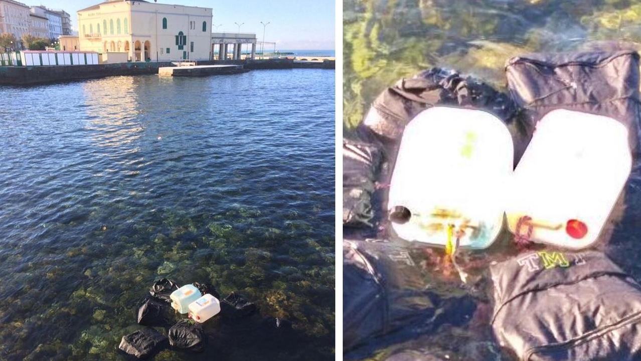 Arrestato ai Caraibi il latitante della 'ndrangheta che riempiva di coca la Toscana
