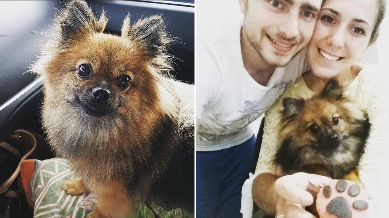 La cagnolina Letty con i suoi proprietari
