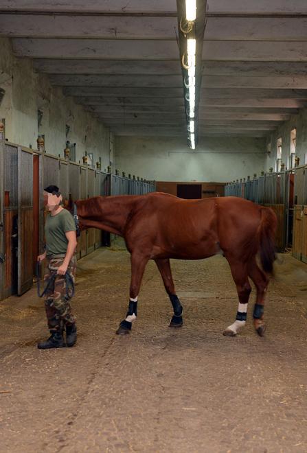 Modena, il caso in Accademia. L'ufficiale indagato: «O entri nel sistema o ti ci faccio entrare con la forza»<br type="_moz" />
