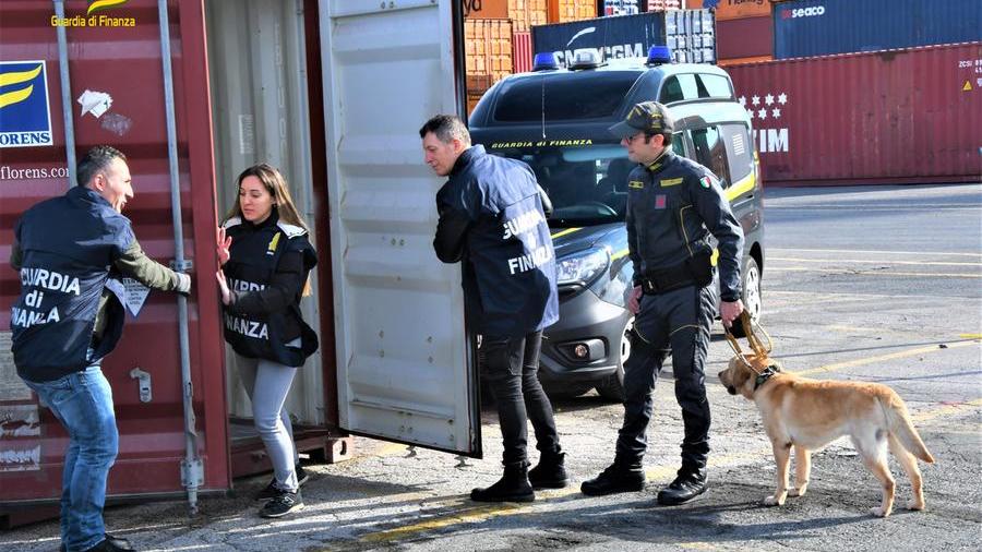 Porto di Livorno: sequestrati 520 chili di cocaina nel 2023. Quanto valgono sul mercato?