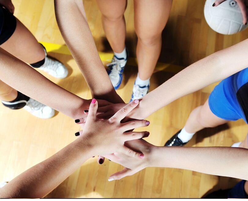 Modena, terremoto nel volley. Si dimette tutto il consiglio<br type="_moz" />
